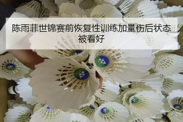 陈雨菲世锦赛前恢复性训练加量伤后状态被看好